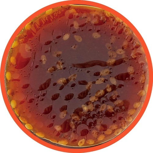 焼肉のたれおすすめ 盛田 麻布十番三幸園 焼肉のたれ あっさり醤油味 イメージ2