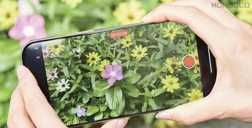 カメラの立ち上がりが高速! 画質もキレイです Apple「iPhone 16」おすすめ イメージ5