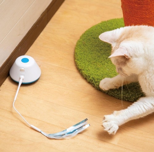 ネコを興奮させるハデな動き 猫用おもちゃおすすめ イメージ