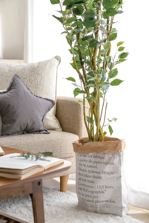 ⑯リアルすぎて見間違えるほど！ニトリのフェイクグリーン イメージ2