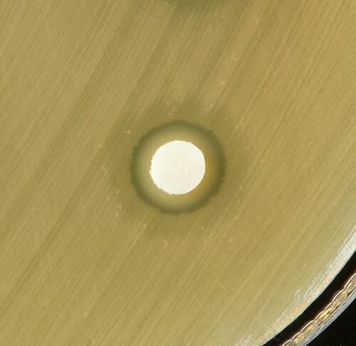 【A評価】あらゆる菌を除去! シャボン玉台所用せっけん イメージ2