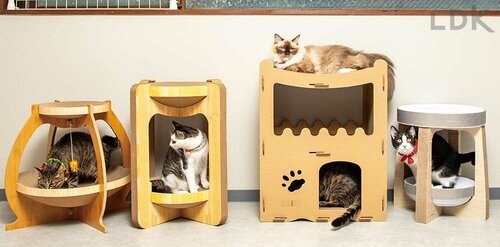 ベッド型猫用爪とぎ 猫用爪とぎおすすめ イメージ