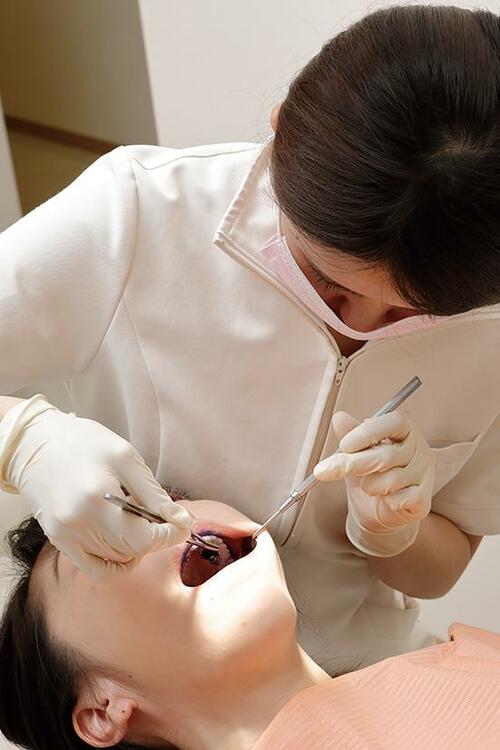 「歯科医推奨」だらけの理由は メーカー不揃いの調査方法にあり イメージ2