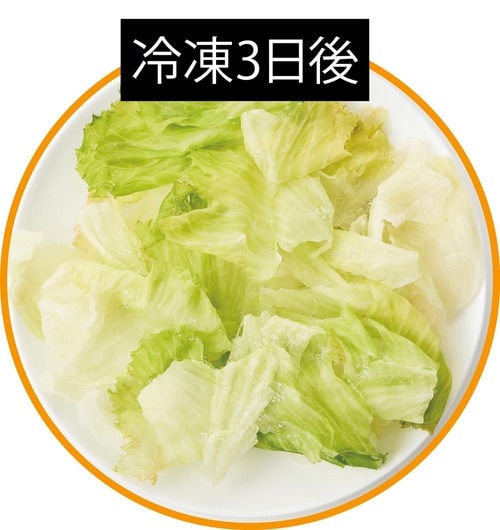 冷凍3日後 野菜の冷凍保存方法おすすめ イメージ
