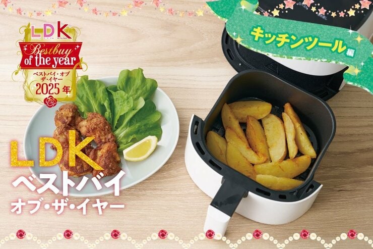 わが家のキッチン革命！ めんどくさいをラクにする一芸ツール大集合【LDKベストバイ オブ・ザ・イヤー2025】
