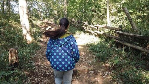 拡張スタビライザーで手ブレをさらに軽減できました イメージ2