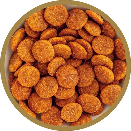 猫用ドライフードおすすめ マースジャパン アイムス 成猫用 避妊・去勢後の健康維持 チキン イメージ2