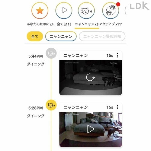 ネコの行動を日記にまとめられる ペットカメラおすすめ イメージ2