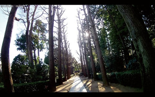 画質の高さに編集部も驚き！立体感のある4K映像 イメージ