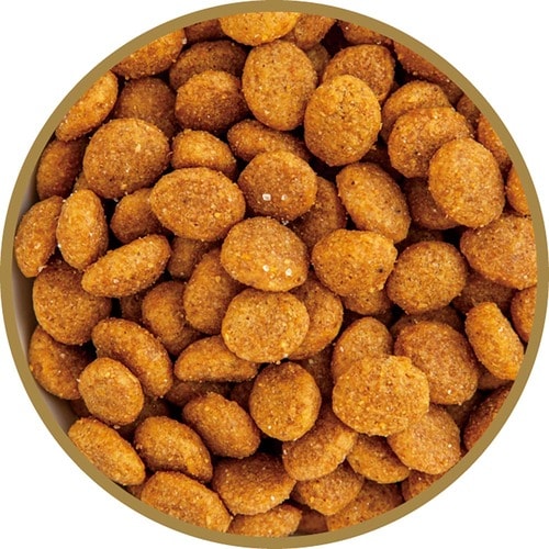 猫用ドライフードおすすめ マルカン サンライズ AIM30 室内避妊・去勢後成猫用 健康な尿路・毛玉ケア フィッシュ イメージ2