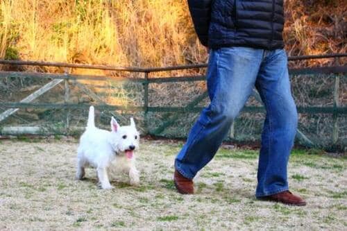 寒い時期のご近所履きに欲しかった冬用サンダル イメージ