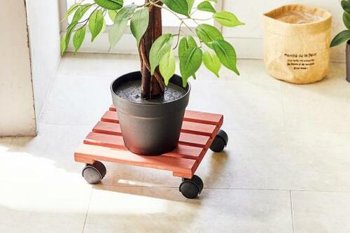 発色が最高！オールドヴィレッジ「バターミルクペイント」 イメージ3