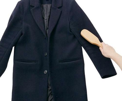 SNSで注目の無印「洋服ブラシ」をプロと検証しました イメージ