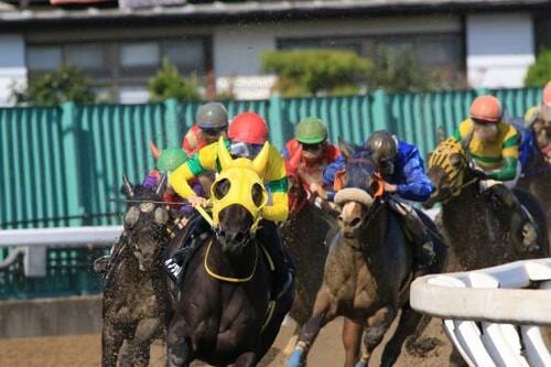 【オートフォーカス】連写中でもピントをバッチリあわせられる性能が求められます