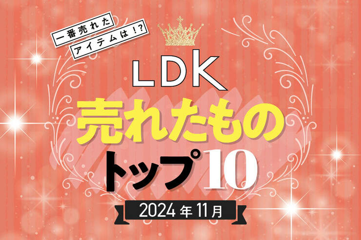 2024年11月のLDK売れたものランキング