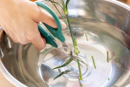 STEP1：水揚げして吸水しやすくする イメージ