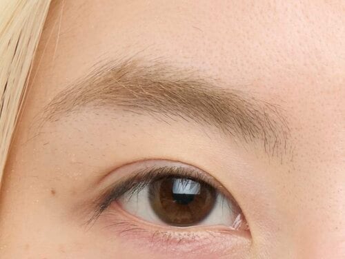 美眉度&自眉抑え度:脱色まではいかないが自然な仕上がり 眉コンシーラーおすすめ イメージ