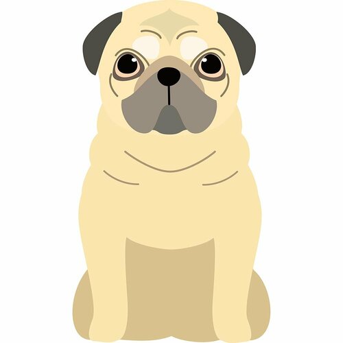 高齢犬(7歳ごろから) ドッグフードおすすめ イメージ