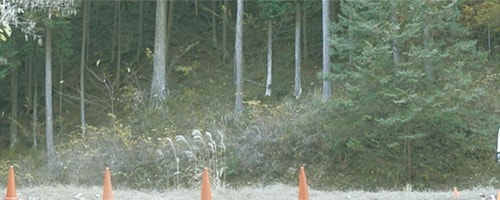 テスト結果 クマ撃退スプレーおすすめ イメージ