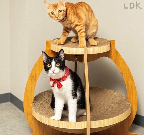 存分にくつろげる下段に人気が集中! 猫用爪とぎおすすめ イメージ2