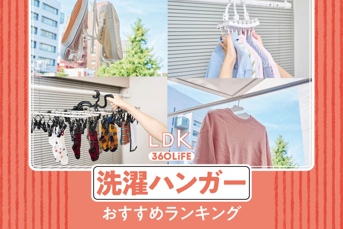 生活雑貨 洗濯用品 ハンガー 洗濯物を飛ばさない洗濯ハンガー「とばないくん」10本セット（洗濯