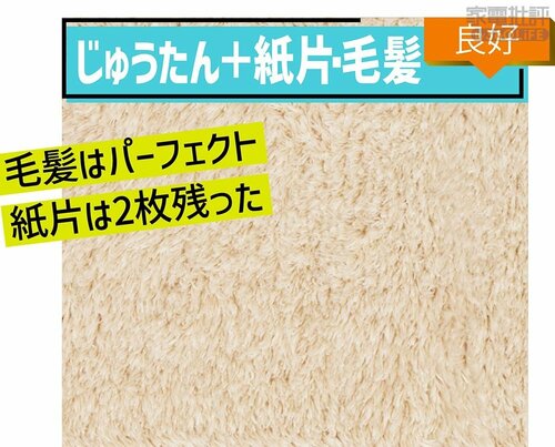 じゅうたん＋紙片･毛髪：良好 キャニスター掃除機おすすめ イメージ