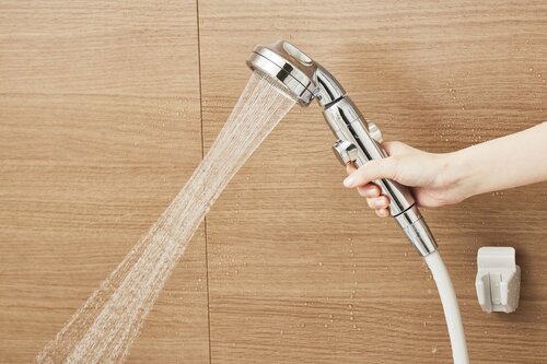 クロス型水流の使い心地がかなり微妙…… 節水シャワーヘッドおすすめ イメージ