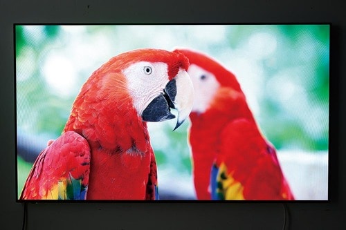 【画質】：パナソニックの有機ELらしい高コントラストな美しい映像 ウォールフィットテレビおすすめ イメージ