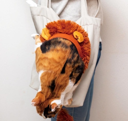 高確率でネコが飛び出す 猫用キャリーバッグおすすめ イメージ
