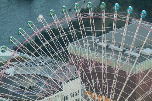 写真が圧倒的に変わる超望遠レンズの醍醐味