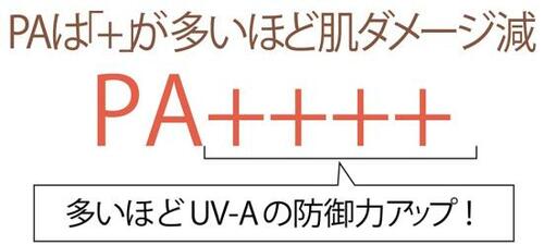 A.SPFは肌表面、PAは真皮層へのダメージ防御力!