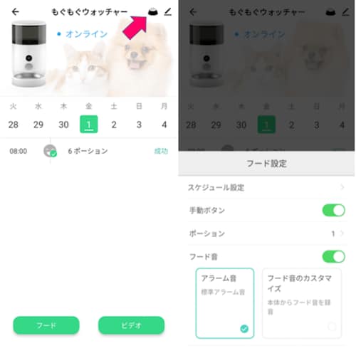 餌の量やアラーム音などを細かく設定可能 自動給餌器おすすめ イメージ