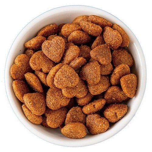 猫用ドライフードおすすめ 星月/ペットマンマ ボナシーボ チキン アンチョビ&ライス イメージ2