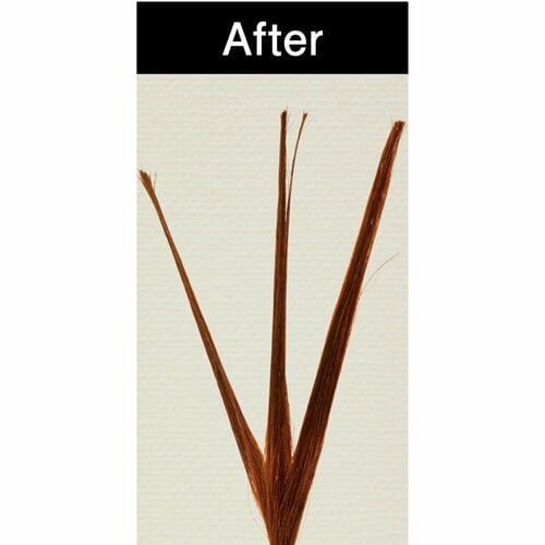 湿気に強いから汗っかきさんもOK LDK the Beauty Menメンズコスメ大賞2025おすすめ イメージ2