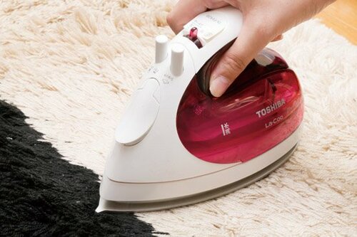 ラグにはダニがいっぱい！？アイロンの直当てで完全撃退 イメージ