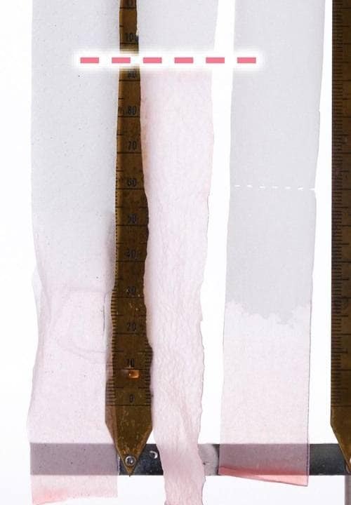 吸水性：◎ トイレットペーパーおすすめ イメージ