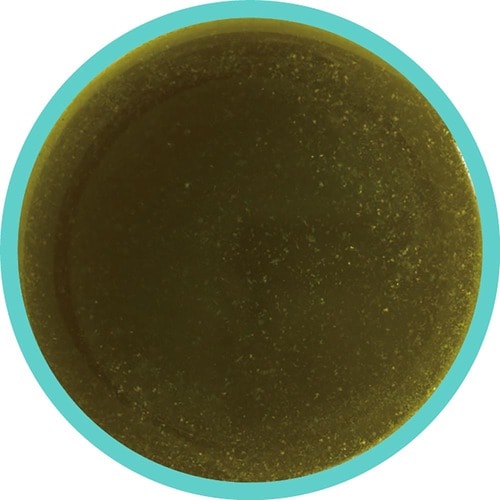 青汁おすすめ ニチモウバイオティックス 菌活サポート青汁 イメージ2