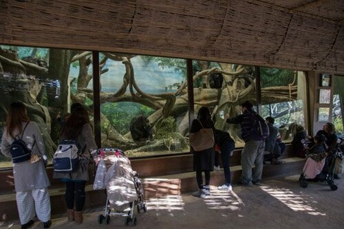 混雑する動物園でも大活躍対象だけを綺麗に写します