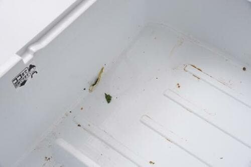 お掃除ワザ2：野菜室の引出しは丸洗いしてアルコールパック！ イメージ5