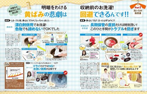 初登場から頼られていた、汚れ落としの最古参品 イメージ2