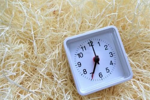 【ギモン6】一度起きてもまだ眠たいときはどうしたら？ イメージ