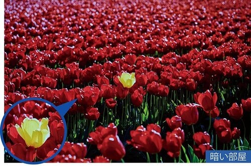 階調がしっかり出ていてキレイ 4Kプロジェクターおすすめ イメージ3