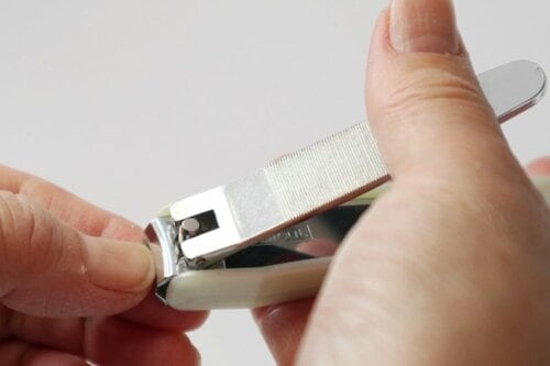 爪切りで切るとガタガタになっちゃう… イメージ