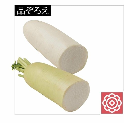 品揃えと鮮度は抜群! イメージ
