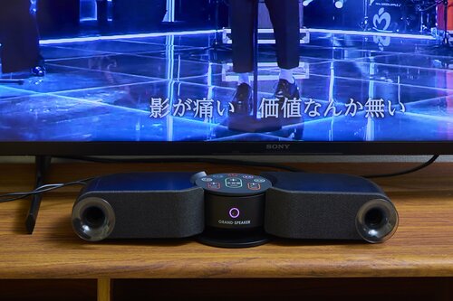 結果:ドウシシャは担当者の音楽へのこだわりがわかる完成度! テレビ用スピーカーおすすめ イメージ
