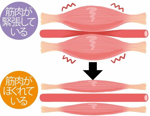 →普段から筋肉をほぐしましょう! ズボラストレッチおすすめ イメージ