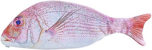 【ペンケース】Generic「魚ペンケース 真鯛」 Amazonブラックフライデーセールアイテムおすすめ イメージ