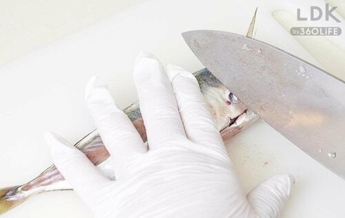 STEP1:エラを押さえるように刃を当てる 出刃包丁おすすめ イメージ