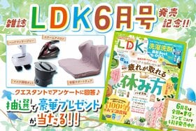 雑誌『LDK』読者プレゼント応募ページ　アンケートに答えて豪華プレゼントをゲット♡