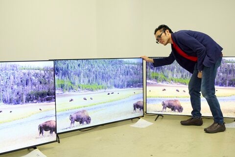 安い大型4Kテレビおすすめランキング｜65インチサイズでコスパがいいのは?